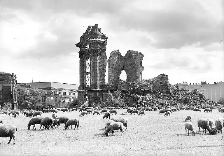 101u_103 Dresden Feuersturm NEU